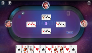 The Journey to Becoming an Online Poker Pro